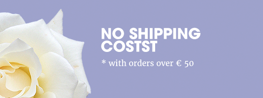 now free shipping